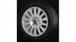 Bright Silver Stentor Wheel