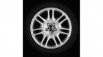 Bright Silver Amalthea Wheel