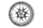 Forgestar F14 in Silver Finish